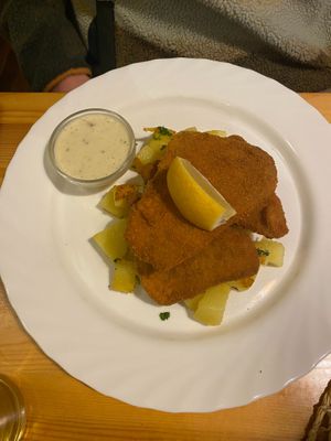 seitan schnitzel at Landia in Vienna