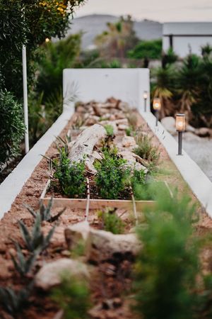 Tapas Ibiza Herb Garden at Tapas Ibiza. La Finca Escondida in Ibiza