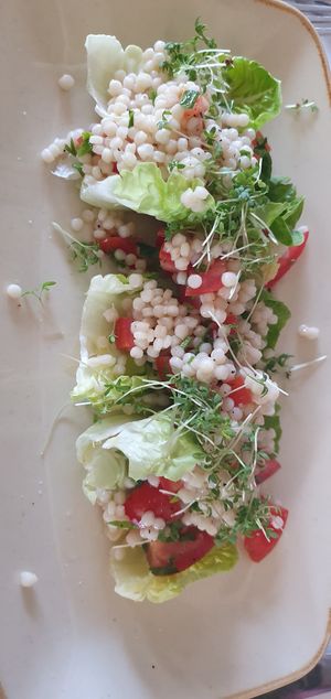 Libanese dish at Van der Valk in Goes