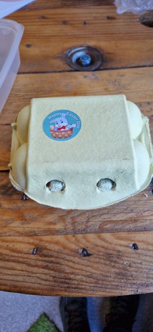  at Guilt Free Pleasures in Hucknall