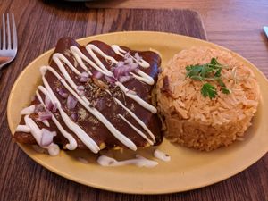 Enchiladas mole at Jajaja Mexicana - West Village in New York City