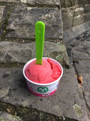 Himbeer  at Gellateria Fratelli Bortolot in Cochem