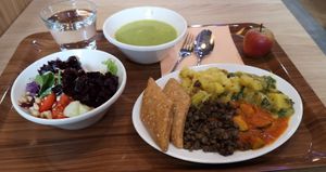 Self-service student meal (for students of Slovenian universities) at Restavracija Mandala in Ljubljana