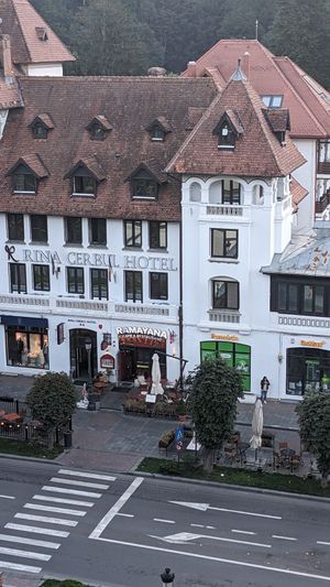  at Ramayana Cafe in Sinaia