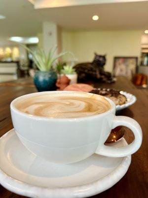 Cappuccino w/ oat milk (70 THB)  at The Donut Cafe in Chiang Mai