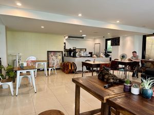Café interior   at The Donut Cafe in Chiang Mai
