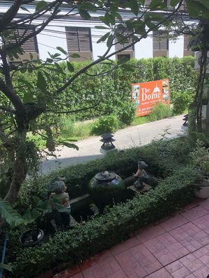 view  at The Donut Cafe in Chiang Mai