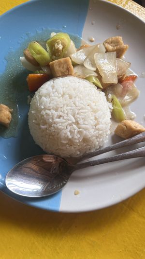 Tofu stor fried with green peper on rice  at Ginger Home in Koh Chang