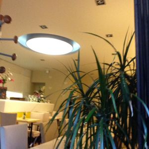 interior at Loving Hut in Paris