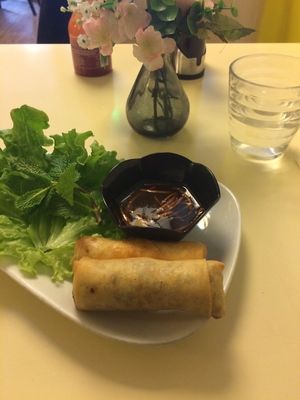 Spring Rolls at Loving Hut in Paris