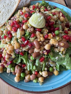 Vegan protein salad  at Little Windows in Pokhara