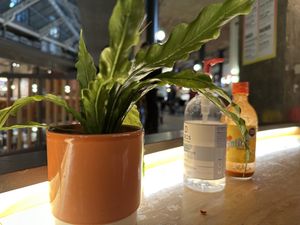 decoration  at Club Mexicana - Seven Dials in London