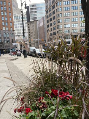 Street view  at Dessert Oasis Coffee Roasters in Detroit