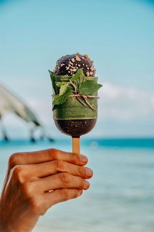 vegan ice creams by peace pf cake at Penida Colada Beach Bar in Penida Island