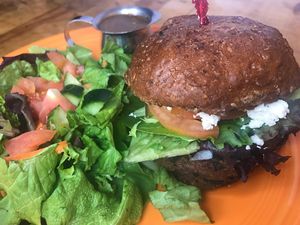 Veggie Burger at Annapurna's World Vegetarian Cafe - 4th St in Albuquerque