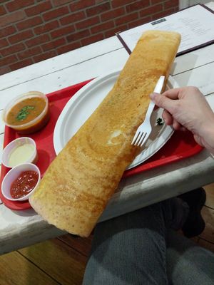 No really, LARGE dosa! at VEGZ in Washington