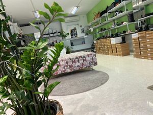 Uno sguardo al nostro punto Vendita VEGAN SHOES ITALY - Cittadella (PD) at Vegan Shoes Italy in Cittadella