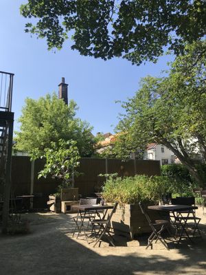 A piece of the garden  at Bluebirds in the Backyard in Dordrecht