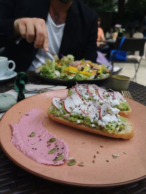  at Bluebirds in the Backyard in Dordrecht