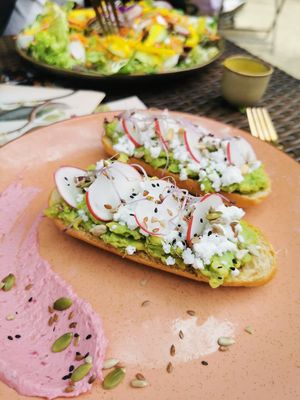  at Bluebirds in the Backyard in Dordrecht