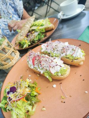  at Bluebirds in the Backyard in Dordrecht