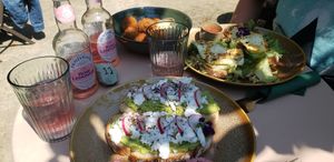  at Bluebirds in the Backyard in Dordrecht