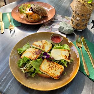  at Bluebirds in the Backyard in Dordrecht