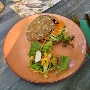 Vegan Salmon at Bluebirds in the Backyard in Dordrecht