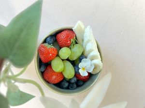  at Bluebirds in the Backyard in Dordrecht