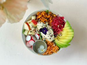  at Bluebirds in the Backyard in Dordrecht