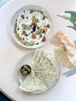  at Bluebirds in the Backyard in Dordrecht