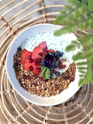  at Bluebirds in the Backyard in Dordrecht