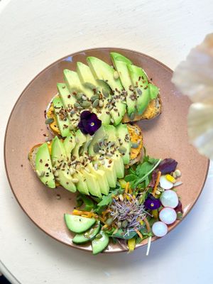  at Bluebirds in the Backyard in Dordrecht