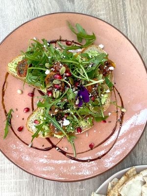  at Bluebirds in the Backyard in Dordrecht