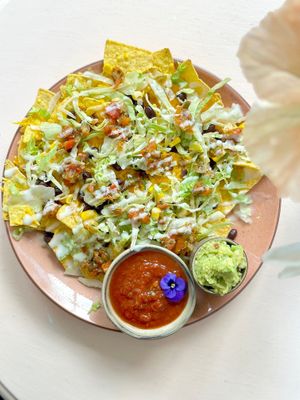  at Bluebirds in the Backyard in Dordrecht