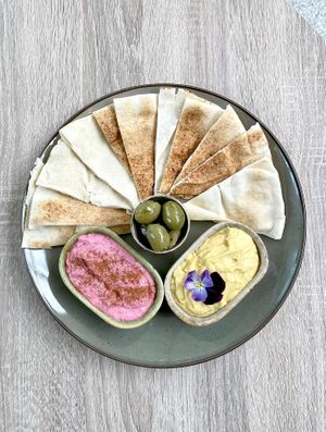  at Bluebirds in the Backyard in Dordrecht