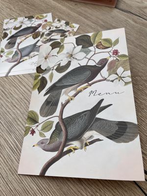 So enchanting   at Bluebirds in the Backyard in Dordrecht