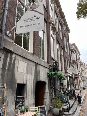 Bluebirds  at Bluebirds in the Backyard in Dordrecht