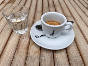   at Bluebirds in the Backyard in Dordrecht