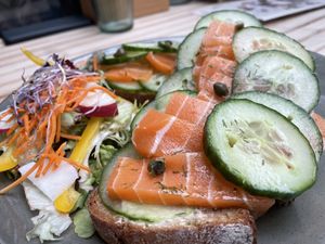   at Bluebirds in the Backyard in Dordrecht