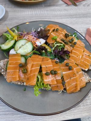  at Bluebirds in the Backyard in Dordrecht