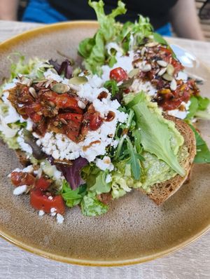  at Bluebirds in the Backyard in Dordrecht