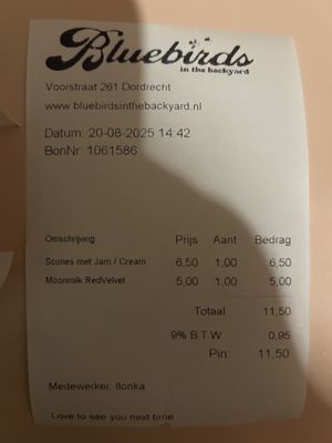 bill  at Bluebirds in the Backyard in Dordrecht