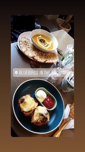 Indian Curry / Cheeseburger cups at Bluebirds in the Backyard in Dordrecht