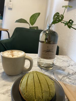 Cappuccino et concha matcha 😋 at Café Vegetal in Mexico City