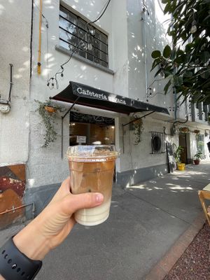 cold brew at Café Vegetal in Mexico City
