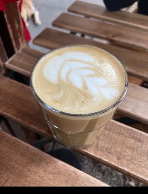  at Café Vegetal in Mexico City