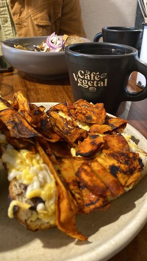   at Café Vegetal in Mexico City