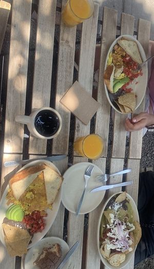   at Café Vegetal in Mexico City