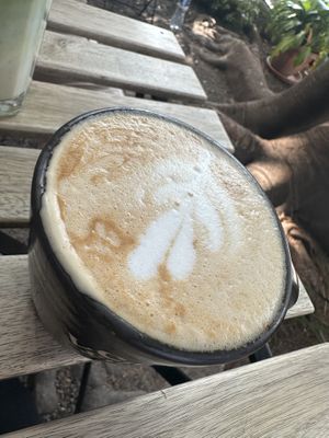   at Café Vegetal in Mexico City